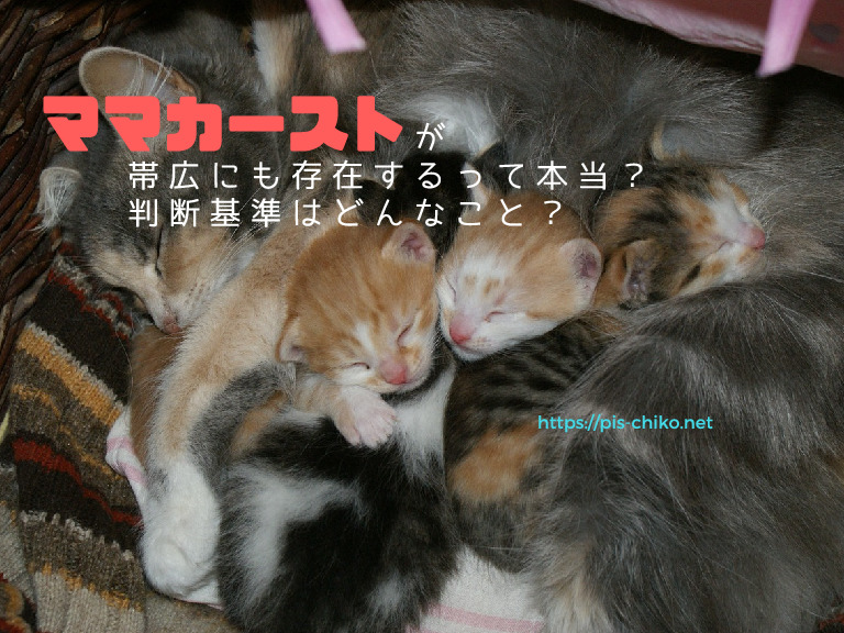 ママカーストをあえて可愛いイメージで可愛い子猫とママ猫の寝顔